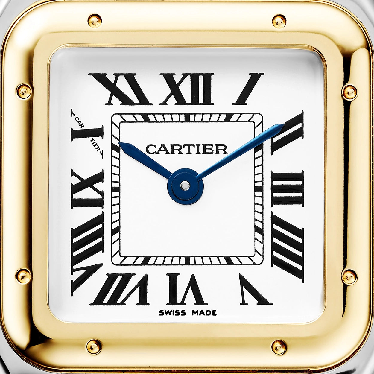 Cartier Panthère de Cartier Small 18ct Yellow Gold & Steel Ladies Watch - Berry's Jewellers