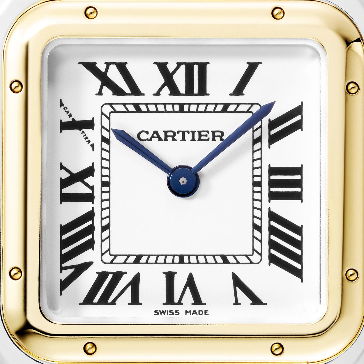 Cartier Panthère de Cartier Medium 18ct Yellow Gold & Steel Ladies Watch - Berry's Jewellers