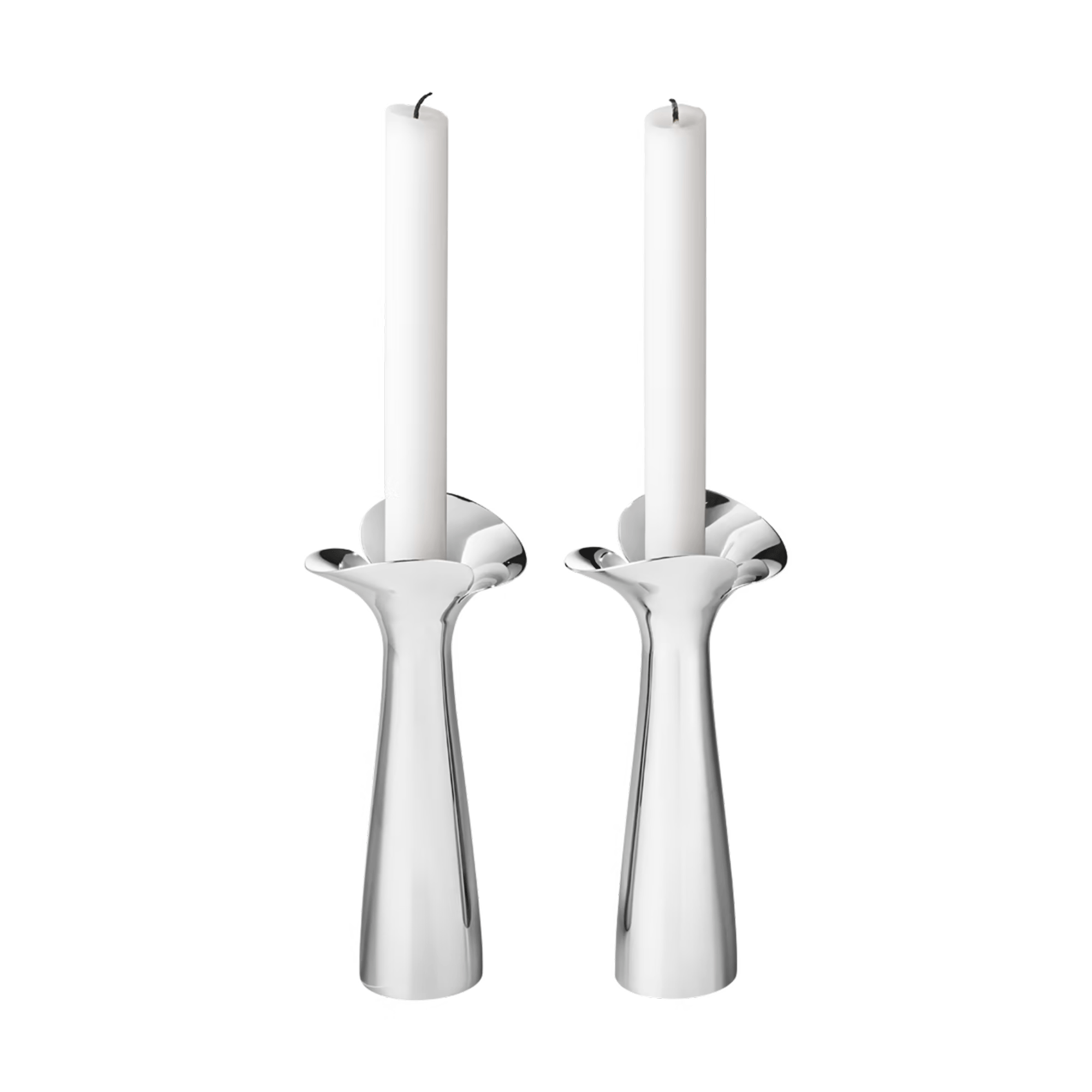 Bloom Botanica Candleholders