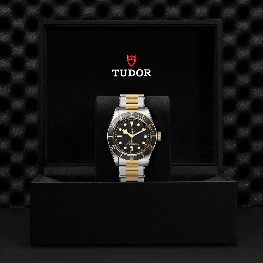 TUDOR Black Bay S&G 41mm Black/Gold Dial Automatic Men's Bracelet Watch - Berry's Jewellers